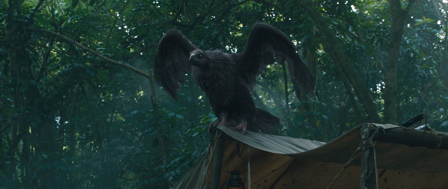 Jumanji